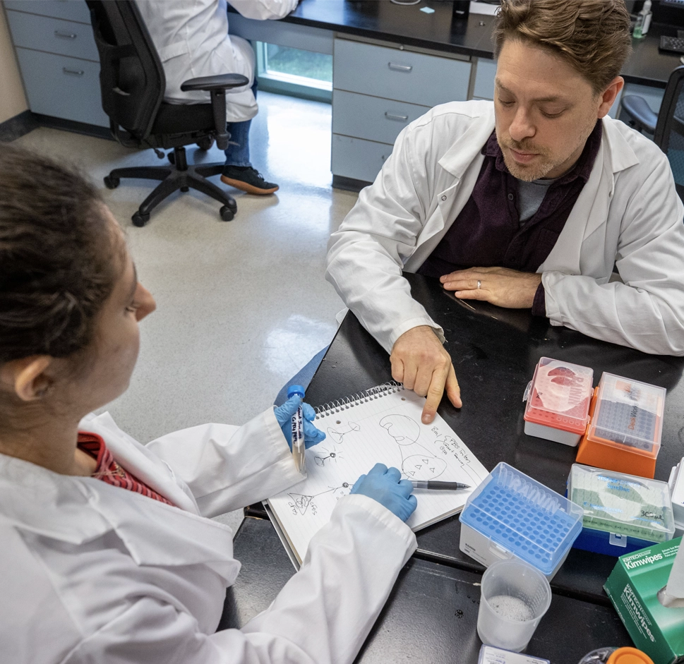 An image of a research on the campus of SIU